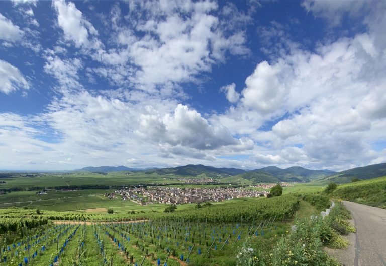 Région de Colmar